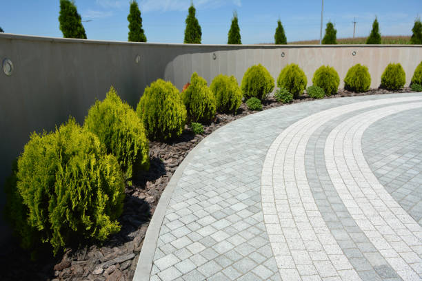 Best Best Driveway Pavers  in Medulla, FL