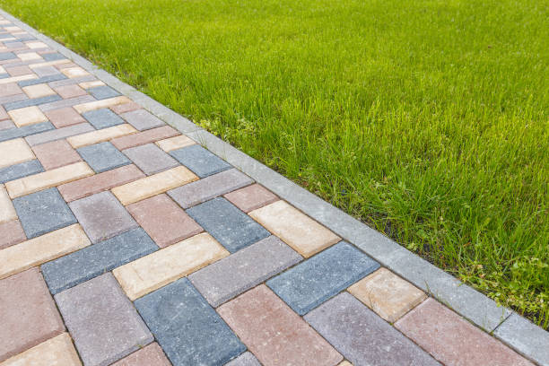 Best Driveway Paving Contractor  in Medulla, FL